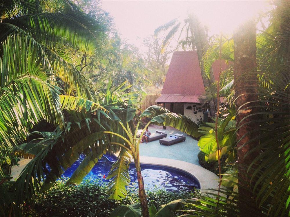 The Sunset Shack Hotel Nosara ภายนอก รูปภาพ