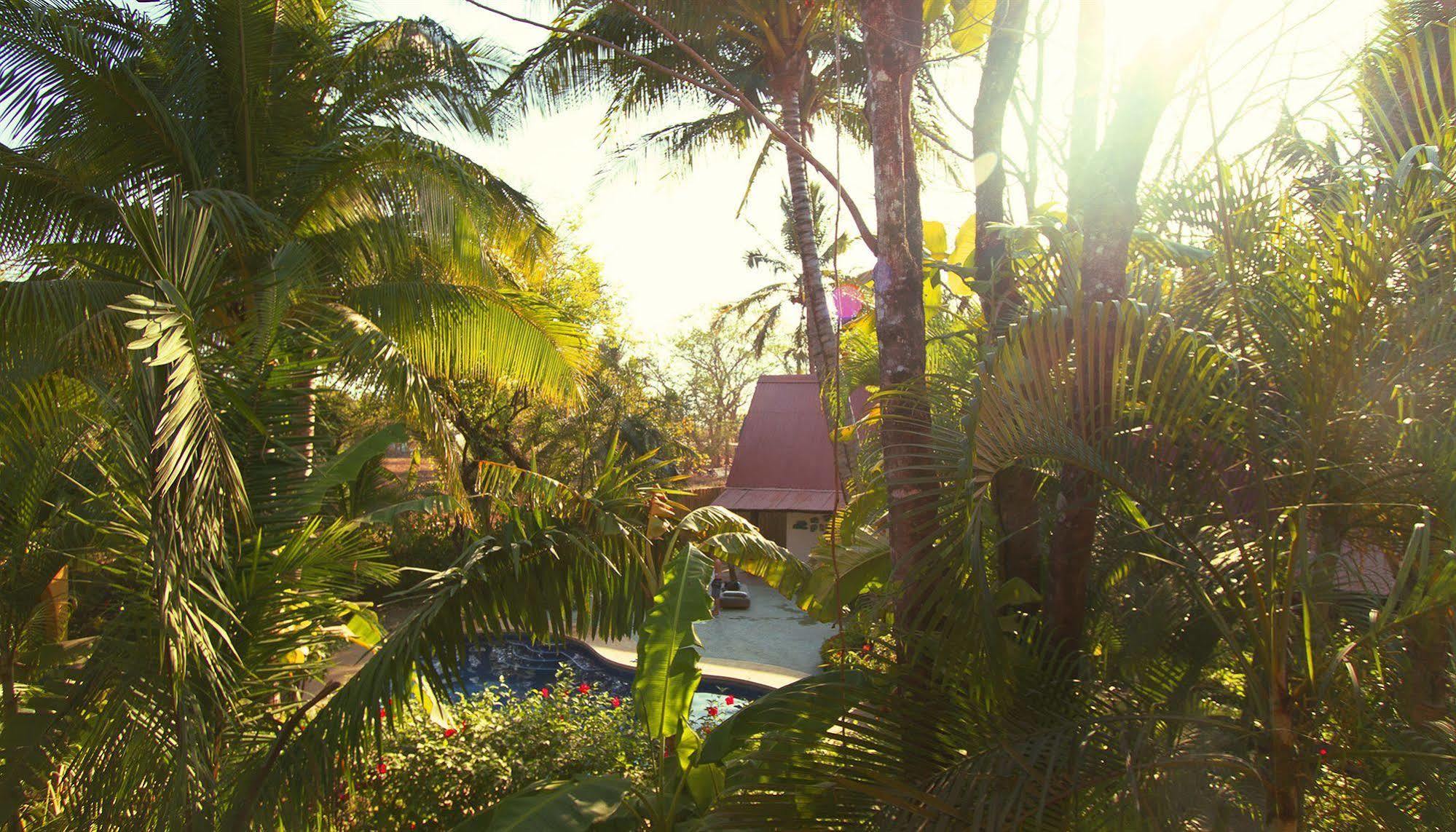 The Sunset Shack Hotel Nosara ภายนอก รูปภาพ
