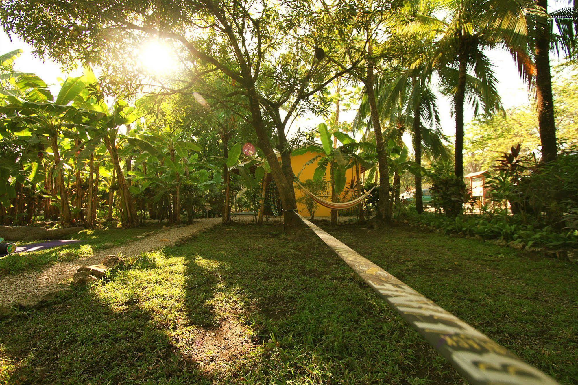 The Sunset Shack Hotel Nosara ภายนอก รูปภาพ