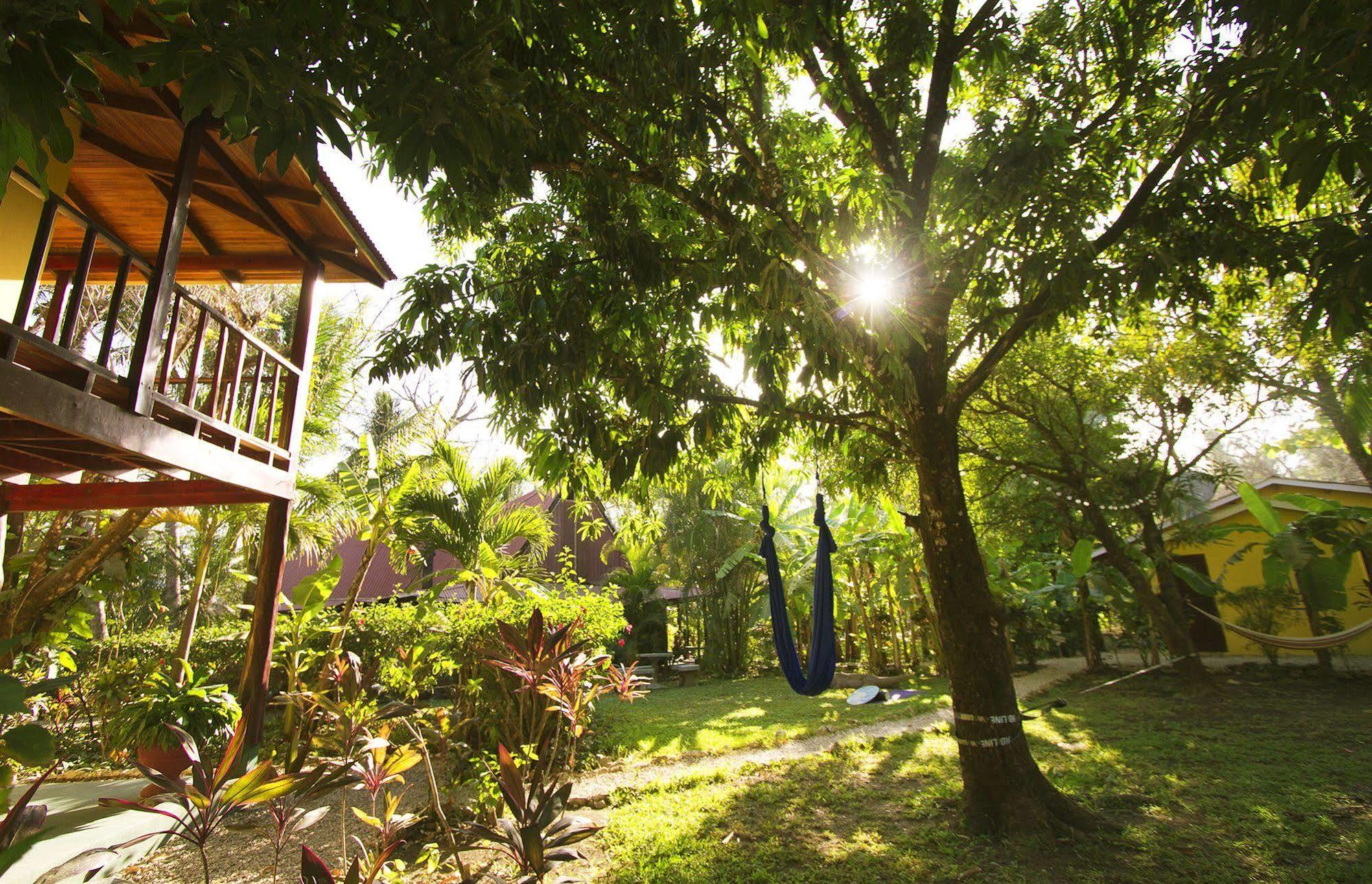 The Sunset Shack Hotel Nosara ภายนอก รูปภาพ