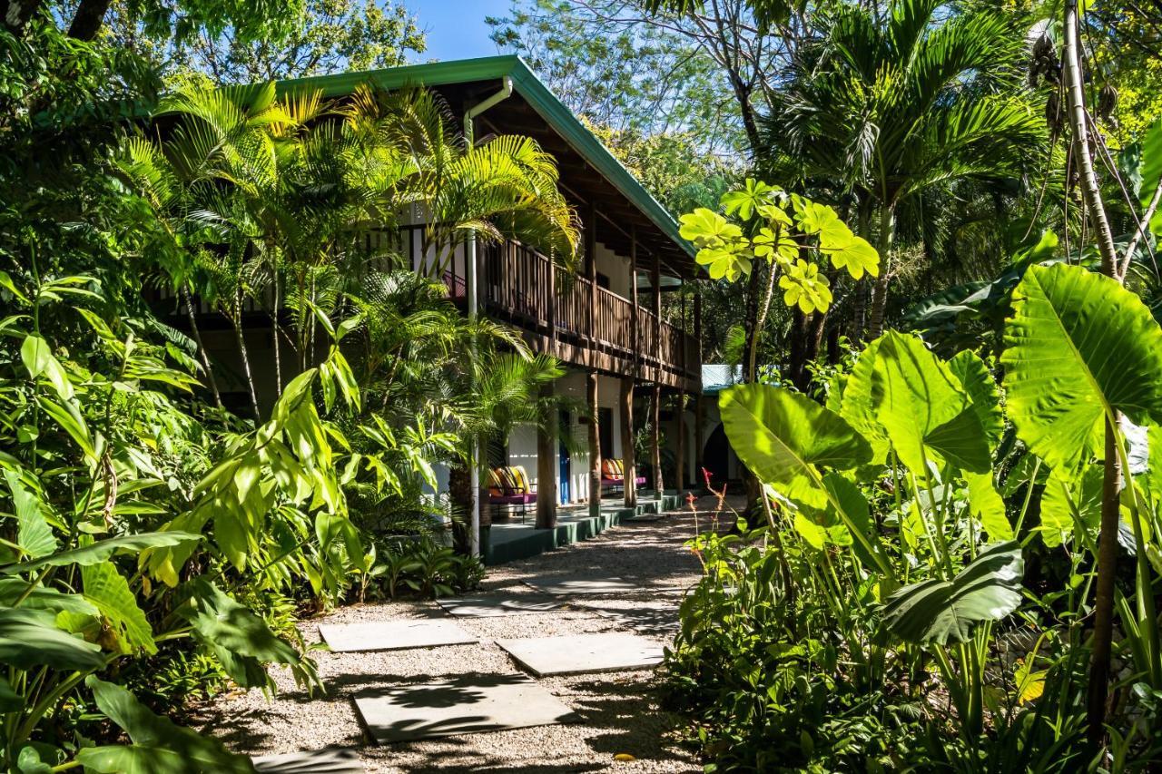 The Sunset Shack Hotel Nosara ภายนอก รูปภาพ